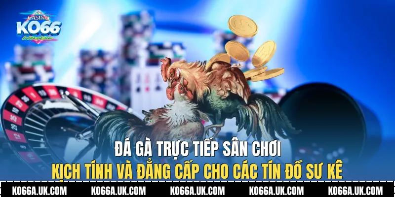 Đá Gà Trực Tiếp